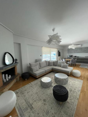 Sunny Contemporary Art Penthouse